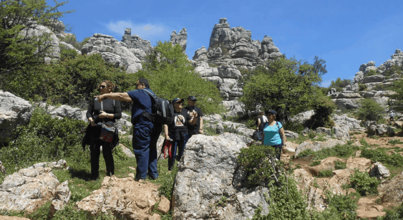 From Granada: Lobo Parque and Torcal De Antequera, Adventure Excursion - Lobo Parque De Antequera