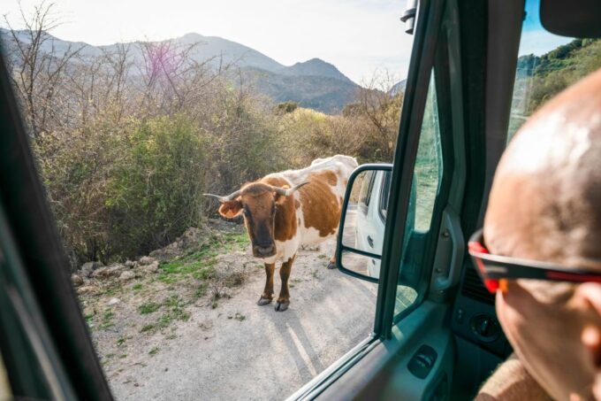 From Granada: Sierra Nevada Guided 4x4 Tour to 2500 Meters - Tour Inclusions and Duration