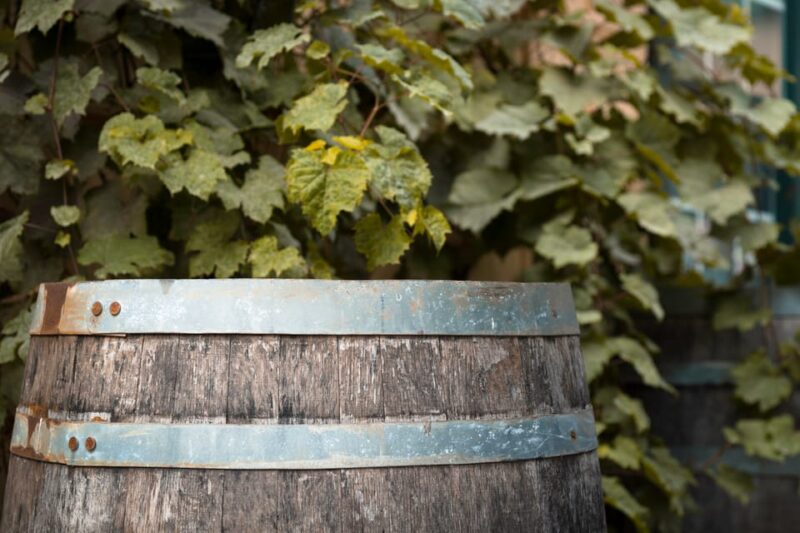 From Greater DC Area/ Bowie: Maryland Wine Tour With Lunch - Pickup Locations