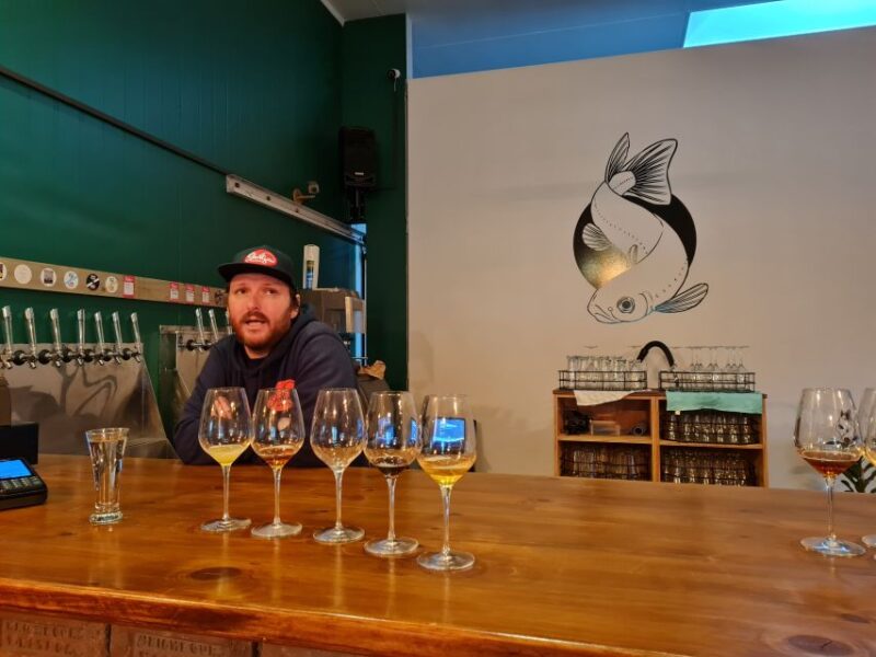 From Greymouth: Highlights West Coast Day Tour - Key Points