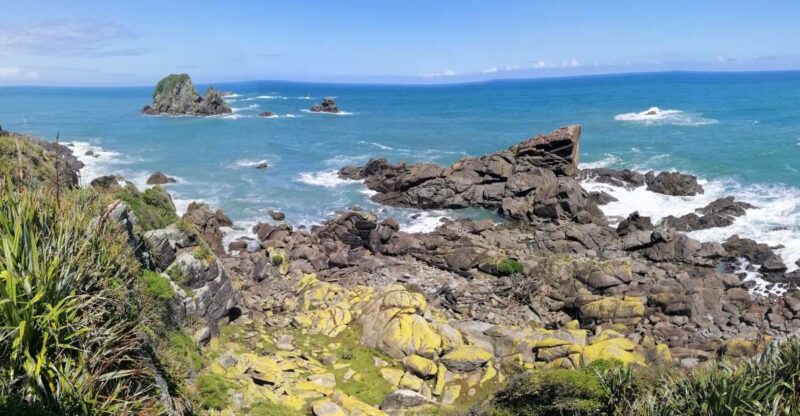 From Greymouth: Highlights West Coast Day Tour - Itinerary Highlights
