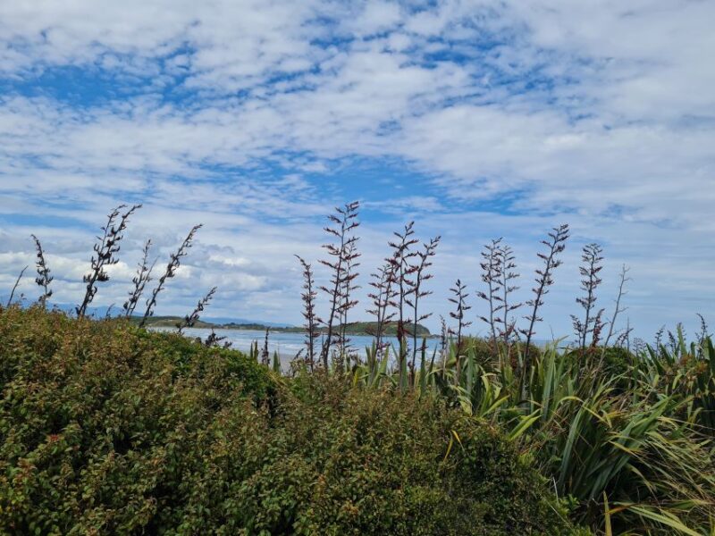 From Greymouth: Highlights West Coast Day Tour - Important Information