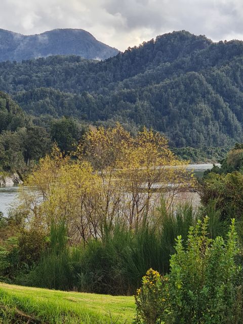 From Greymouth: Highlights West Coast Day Tour - Recap