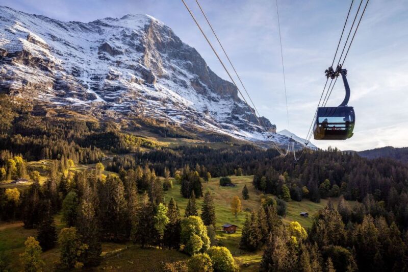 From Grindelwald: Jungfraujoch Round-Trip Railway Ticket - Highlights of Jungfraujoch