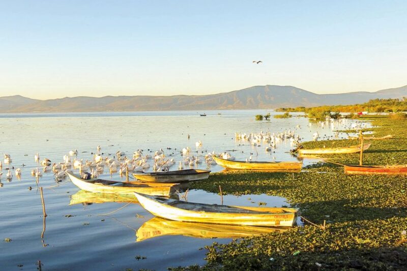 From Guadalajara: Chapala Lake & Ajijic Tour - Itinerary Highlights