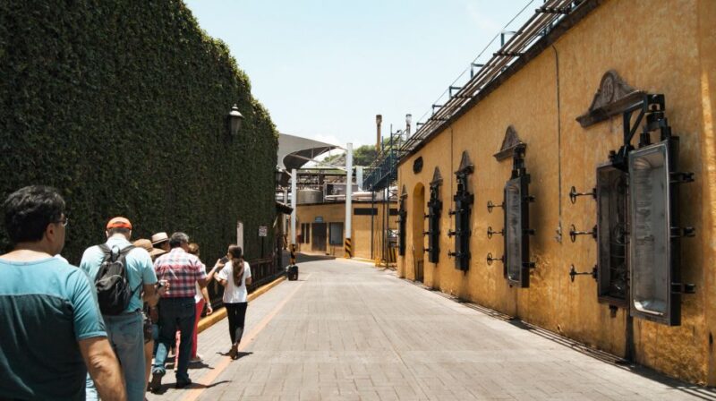 From Guadalajara: Pyramids & Jose Cuervo Tequila Tour - Key Points