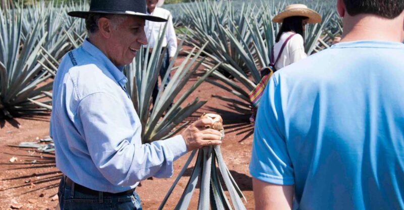 From Guadalajara: Pyramids & Jose Cuervo Tequila Tour - What to Bring