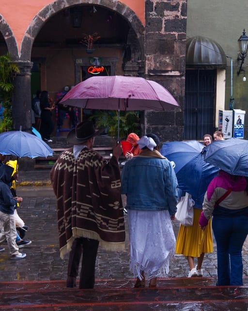 From Guadalajara: Tequila Factory and Panoramic Swing Tour - Tour Experience