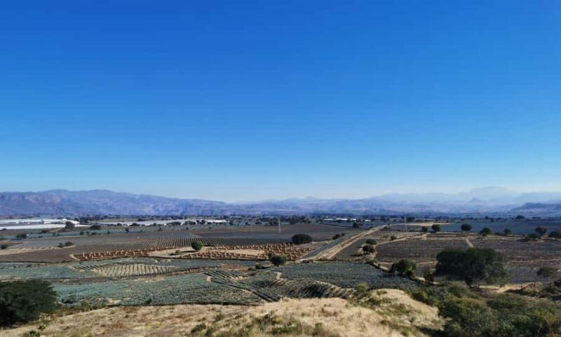 From Guadalajara: Tequila Tour: Tasting Experience & Lunch - Practical Tips for Travelers