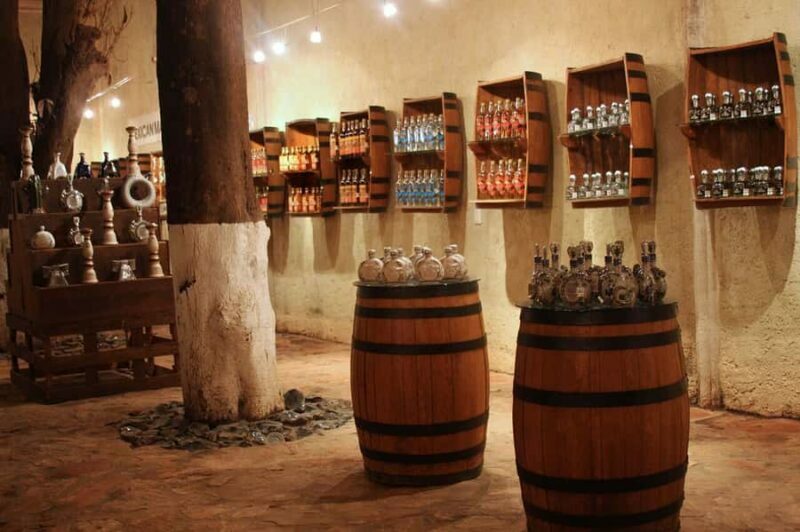 From Guadalajara: Tequila Tour: Tasting Experience & Lunch - FAQ