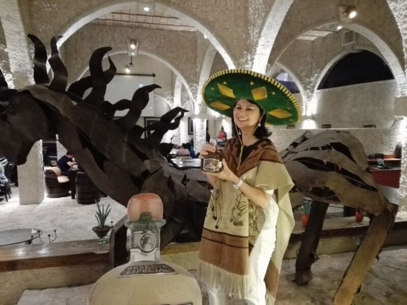 From Guadalajara: Tequila Tour & Tequila Tasting in Hacienda - Participant Information