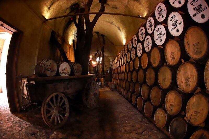From Guadalajara: Tequila Tour & Tequila Tasting in Hacienda - Preparation and Recommendations
