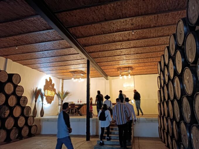 From Guadalajara: Tequila Tour With Tastings - Tasting and Learning Experience