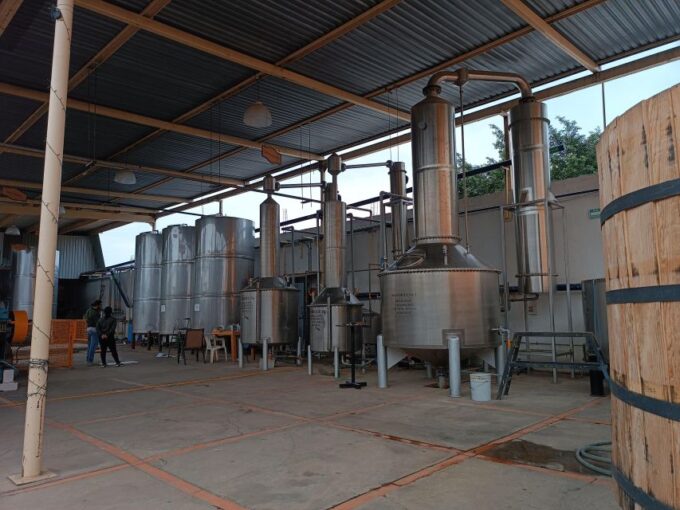 From Guadalajara: Tequila Tour With Tastings - Frequently Asked Questions