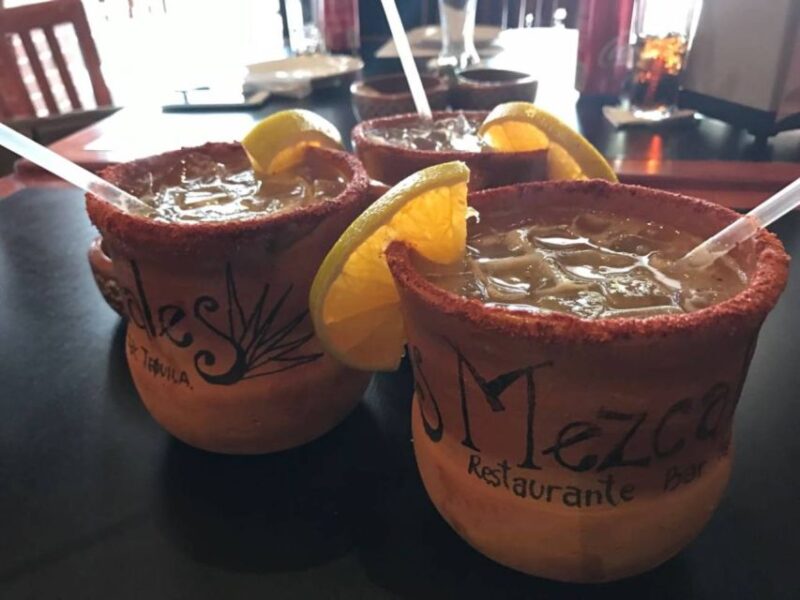 From Guadalajara: Tequila Town and Cantarito Making Tour - Participant Information