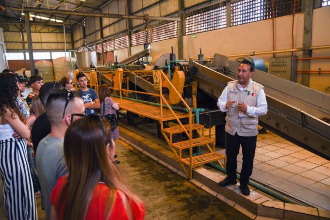 From Guadalajara: Tequila Trail Tour With Tasting - Frequently Asked Questions