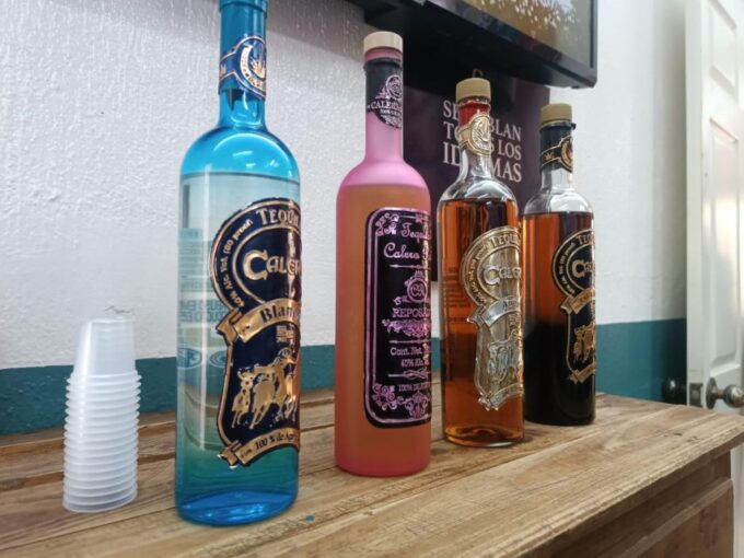 From Guadalajara to Chapala Lake: Funny and Cultural Tour - Tequila Tasting Experience