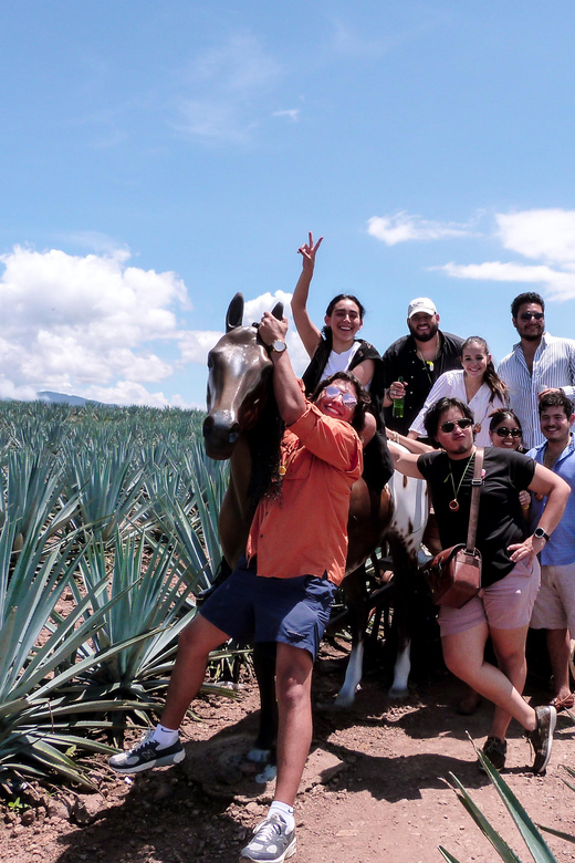 From Guadalajara: VIP Tequila Tour - Booking Information
