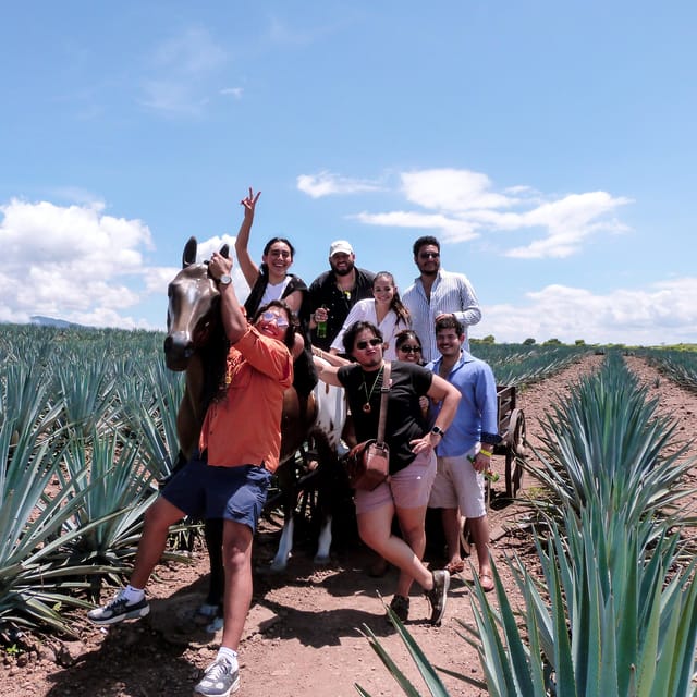 From Guadalajara: VIP Tequila Tour - Customer Rating