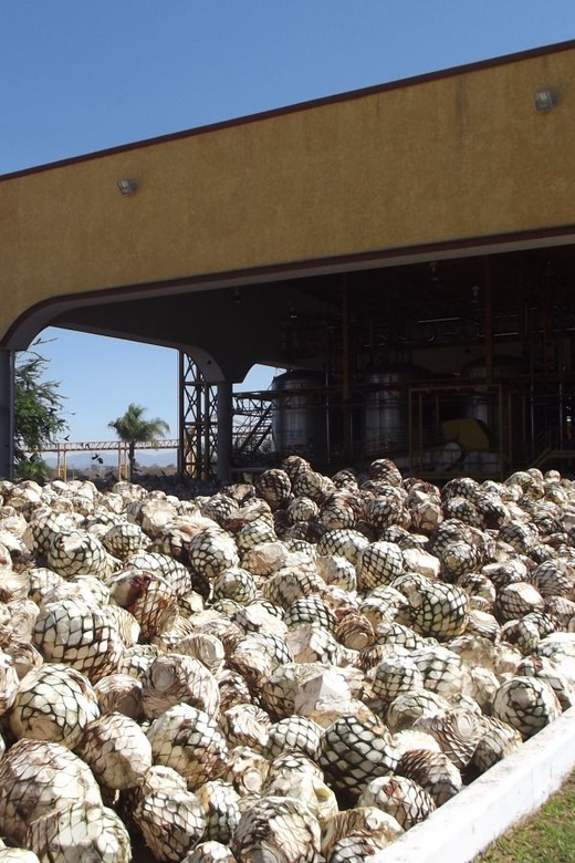 From Guadalajara: Visiting Hacienda Casa Herradura. Unique! - Key Points