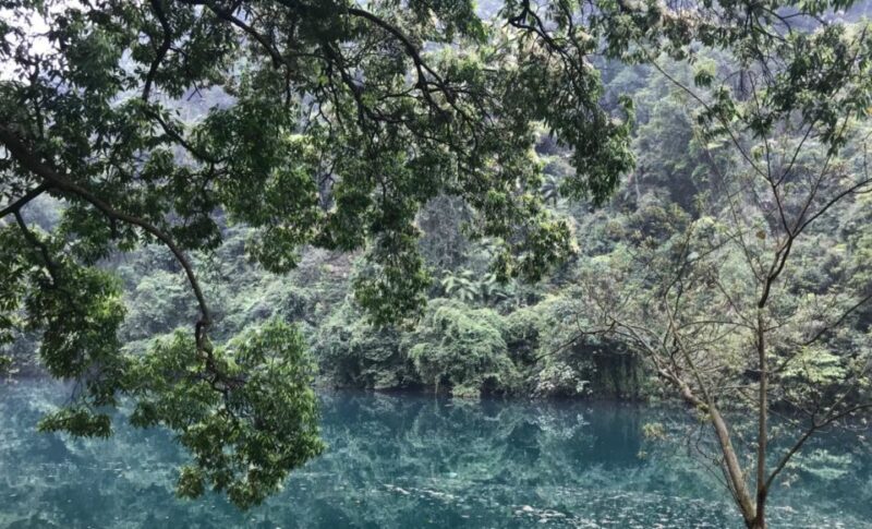 From Guangzhou: Zhaoqing Full-Day Private Tour - Key Points