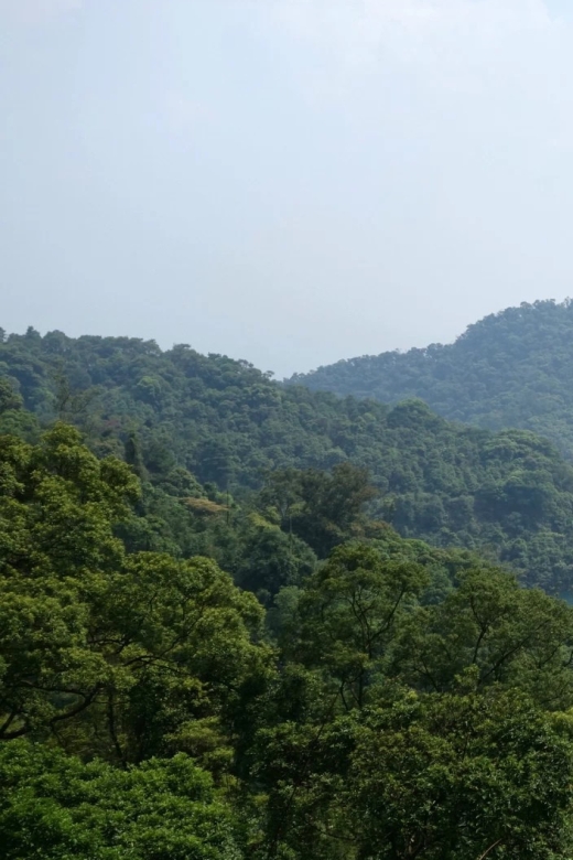 From Guangzhou: Zhaoqing Full-Day Private Tour - Inclusions