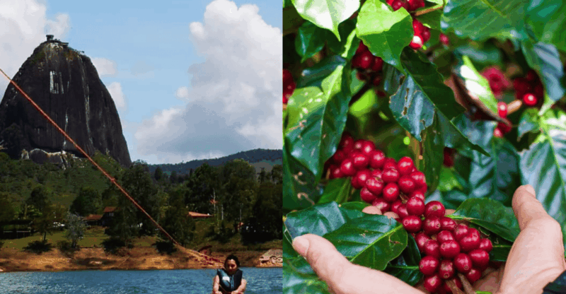 From Guatape: 1-Hour WAKEBOARD + Complete COFFEE TOUR - Coffee Plantation Tour