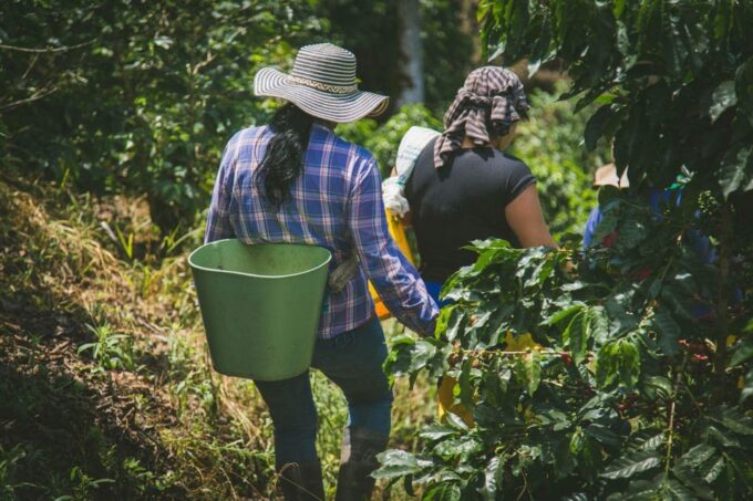 From Guatape: ATV + COFFEE TOUR AT LOCAL FAMILY FARM - Inclusions and Amenities