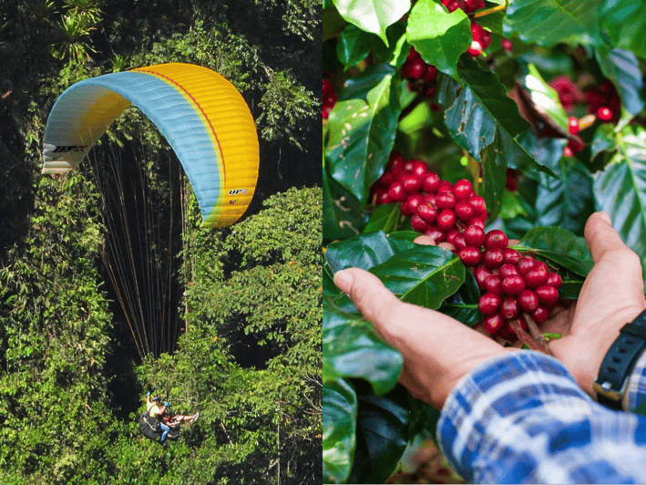 From Guatape: PARAGLIDING and Complete COFFE TOUR - Included Amenities