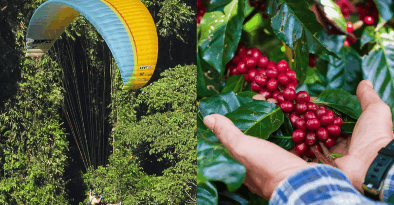 From Guatape: PARAGLIDING and Complete COFFE TOUR - Pricing and Booking