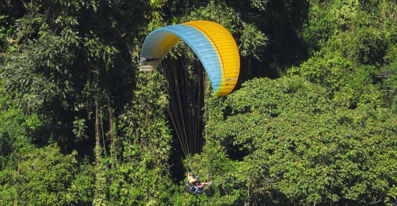 From Guatape: Paragliding Over Guacaica Jungle - Key Points