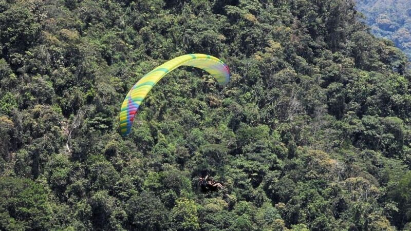 From Guatape: Paragliding Over Guacaica Jungle - Pricing and Inclusions