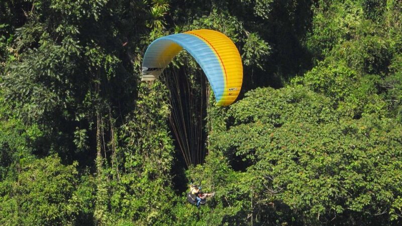 From Guatape: Paragliding Over Guacaica Jungle - Recap