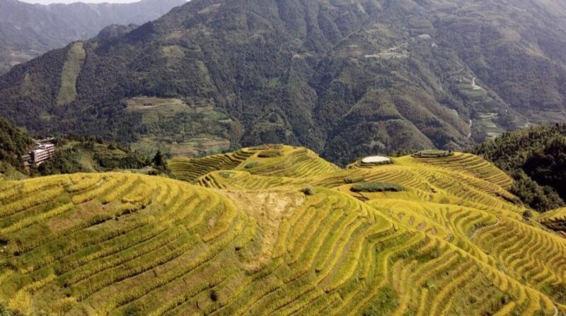 From Guilin: Longsheng Dragons Backbone Rice Terraces - Itinerary