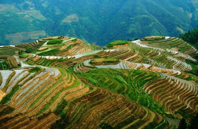 From Guilin: Longsheng Dragons Backbone Rice Terraces - Duration and Group Size