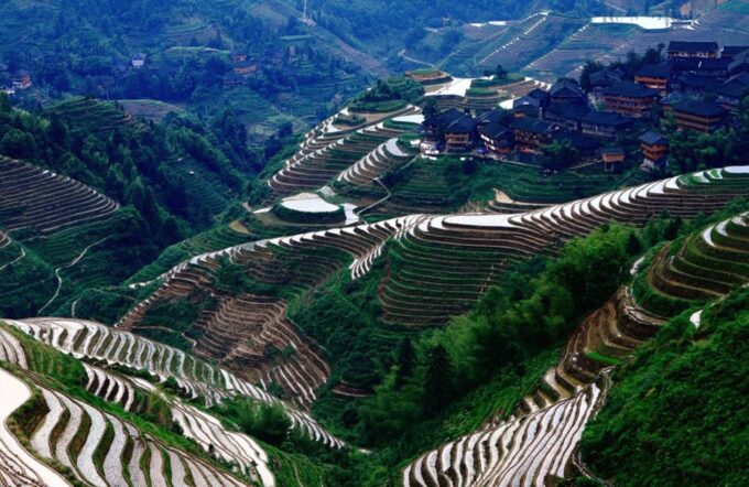 From Guilin: Longsheng Dragons Backbone Rice Terraces - Tour Price