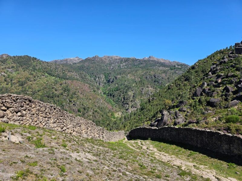 From Guimarães: Full-Day Tour in Gerês National Park - What to Bring and Restrictions