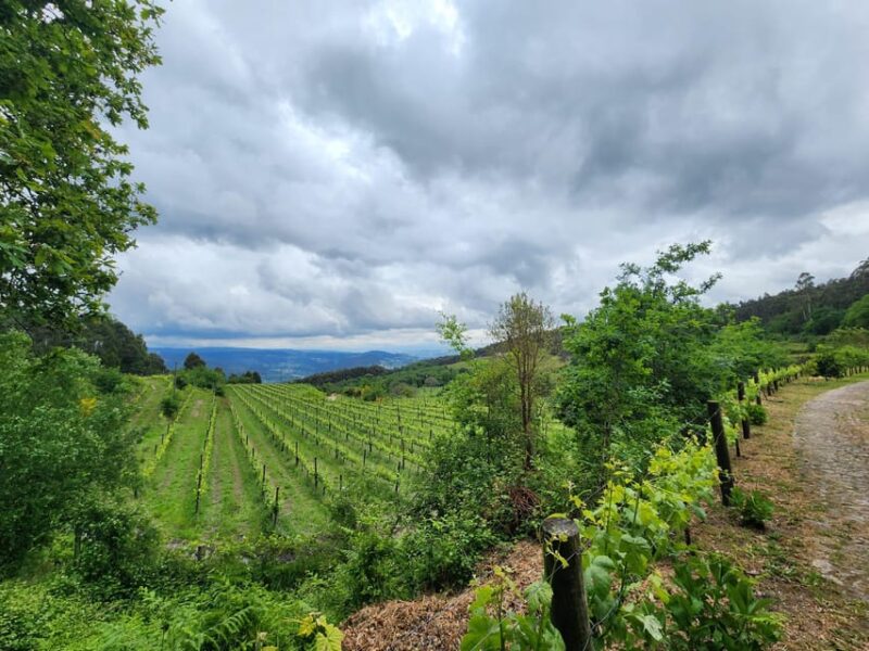 From Guimarães: Full-Day Tour in Guimarães and Fafe - Key Points