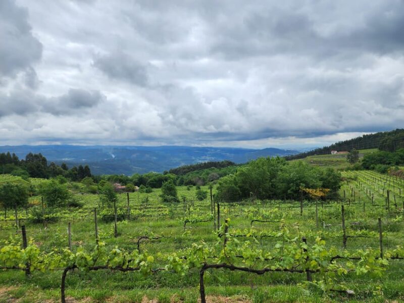 From Guimarães: Full-Day Tour in Guimarães and Fafe - Guimarães, the Cradle of Portugal