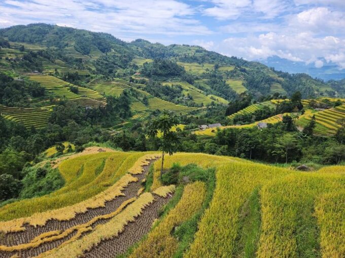 From Ha Giang: 3 Day 2 Night Ha Giang Loop Motorbike Tour - Important Information