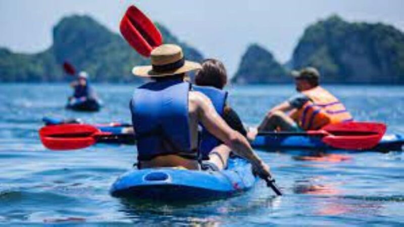 From Ha Long Bay: Ha Long Luxury 1 Day Trip - Lunch Experience