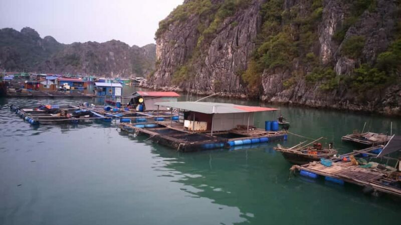 From Ha Noi/Cat Ba: Full-Day Cruise to Lan Ha - Ha Long Bay - An In-Depth Look at the Full-Day Cruise Experience
