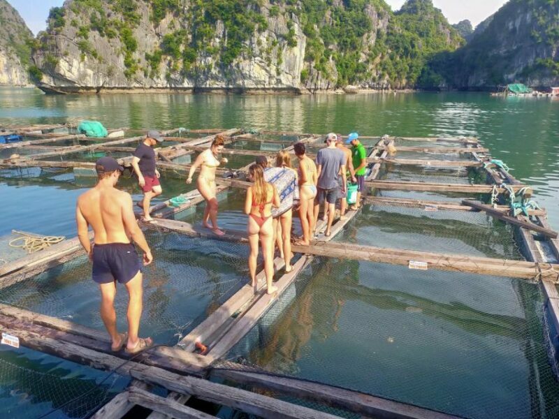 From Ha Noi/Cat Ba: Full-Day Cruise to Lan Ha - Ha Long Bay - FAQ