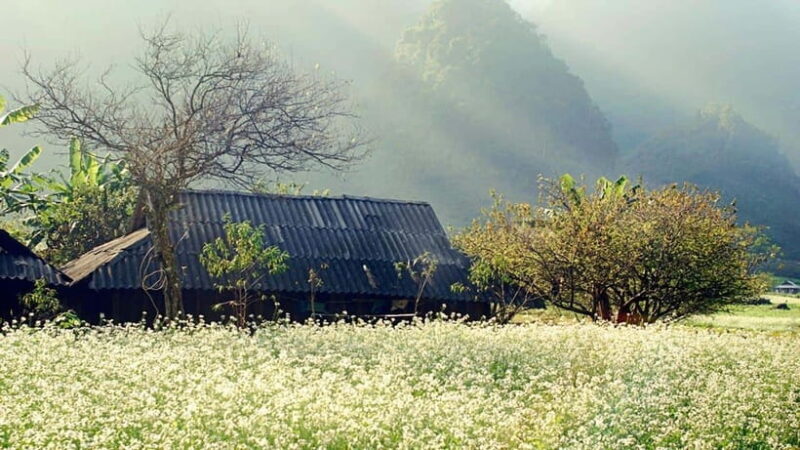 FROM HA NOI : DISCOVER MAI CHAU 2 DAYS 1 NIGHT - Lunch and Traditional Dance