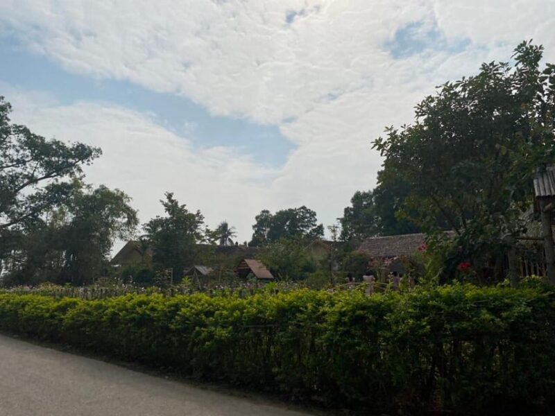 From Ha Noi: Duong Lam Ancient Village 1 Day - Included in the Tour