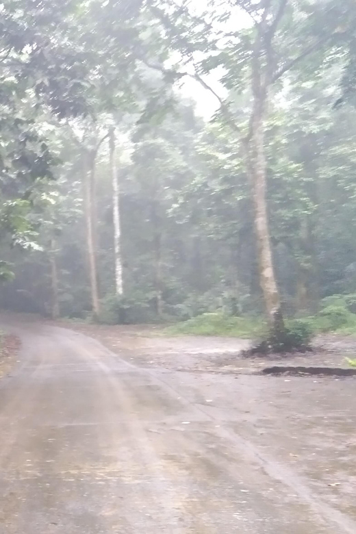 From Ha Noi - FullDay Trip Cuc Phuong National Park - Key Points