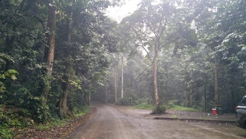 From Ha Noi - FullDay Trip Cuc Phuong National Park - Turtle Center Exploration