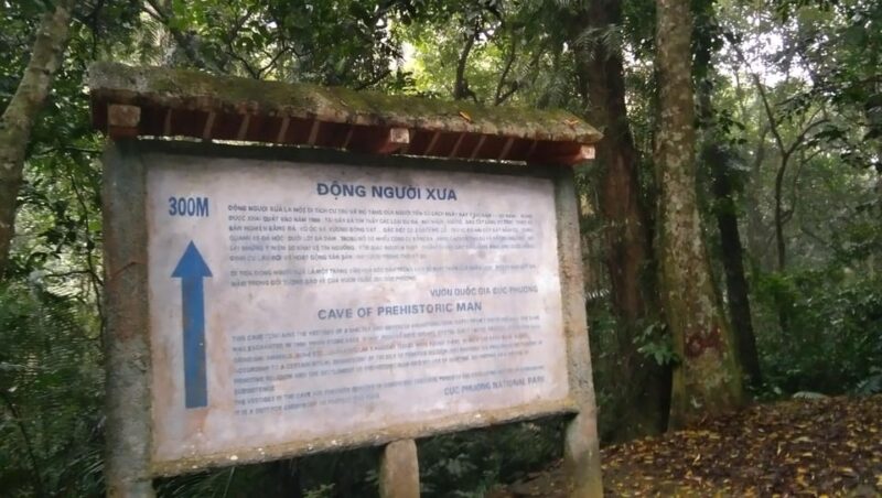 From Ha Noi - FullDay Trip Cuc Phuong National Park - Nature Walk in Park