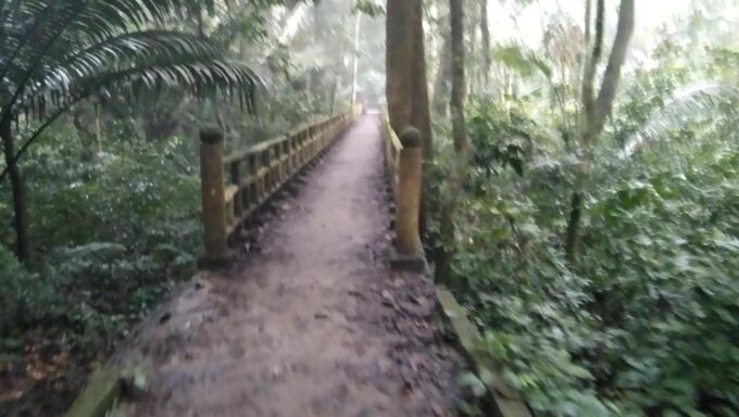 From Ha Noi - FullDay Trip Cuc Phuong National Park - Inclusions and Exclusions