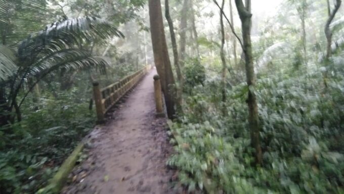 From Ha Noi - FullDay Trip Cuc Phuong National Park - Frequently Asked Questions